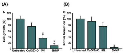 Auto-cleaning effect of nanocomposite membrane with 5NMP