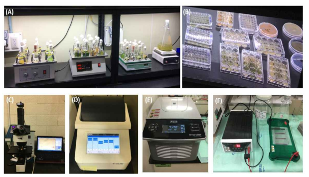 각종 실험장치 (A) 시아노박테리어 및 (B) 시아노파지 배양 시스템, (C) 광학현미경 및 이미지 분석장비, (D) PCR, (E) 고속원심분리기, (F) 전기영동장치