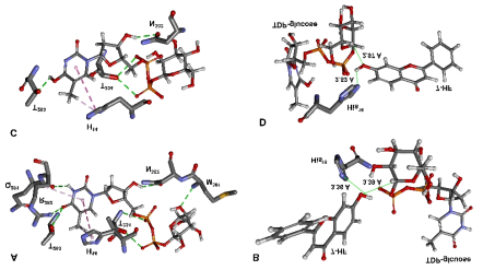 Molecular docking of TDP-glucose and 7-HF with YjiC model. (A) TDP-glucose docking in the NDP-sugar binding site of YjiC. (B) TDP-glucose and 7-HF docking in the donor and acceptor substrates binding pocket of YjiC. (C) TDP-glucose docking in the NDP-sugar binding site of R282W. (D) TDP-glucose and 7-HF docking in the substrates binding pocket of R282W. All atoms are colored to standard coloring. Amino acid residues are represented by the stick model, whereas bound donor and acceptor substrate atoms are shown by the ball-and-stick model. Bond lengths are displayed in Å. Hydrogen atoms were removed in amino acid residues to improve clarity, and images were made by Discovery Studio 2018
