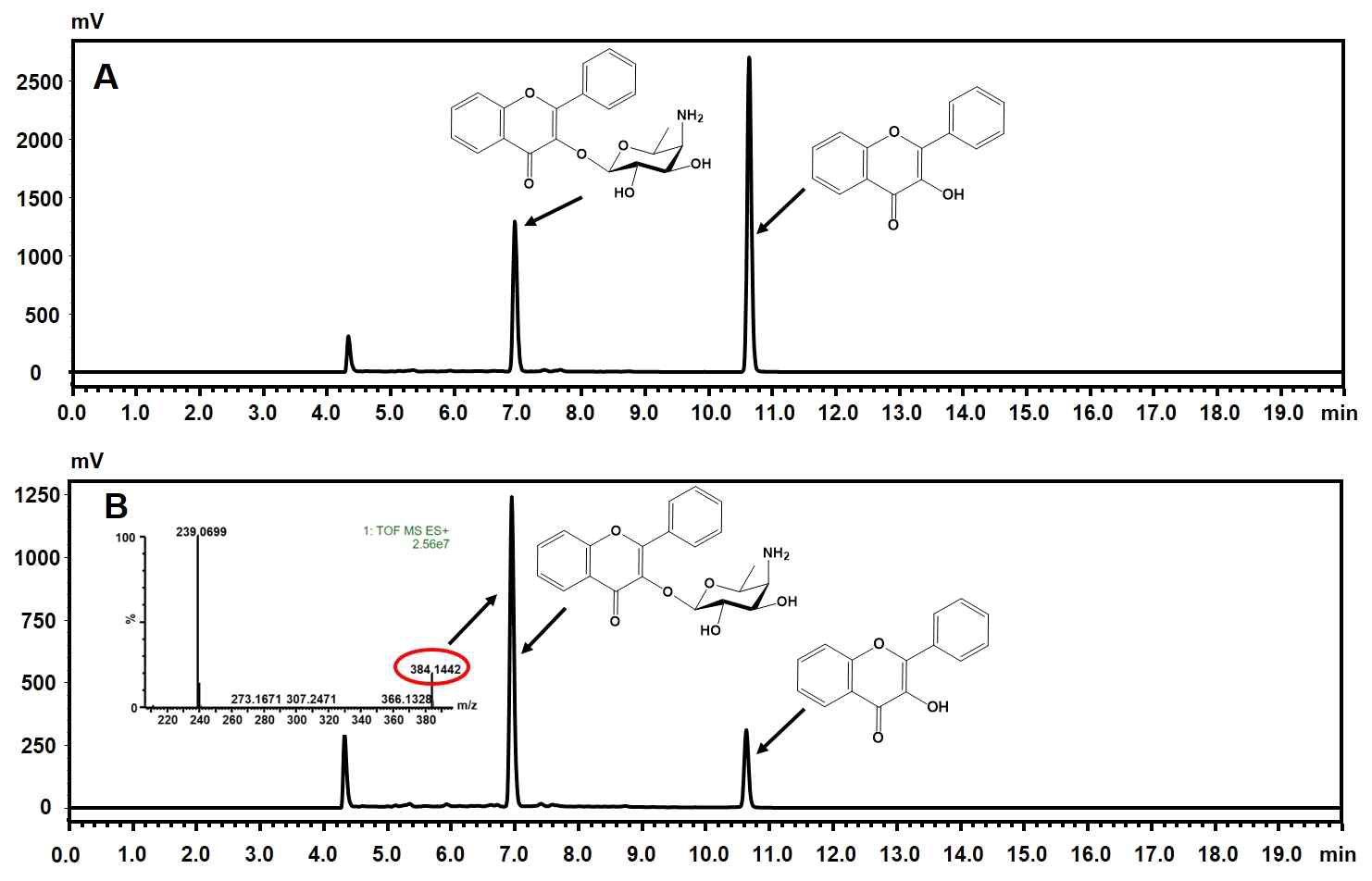 HPLC를 이용한 YjiC와 이중돌연변이 (S132A R282W) 효소를 이용한 3-HF로부터 3-HF 3-O-4-amino 4,6 dideoxy-D-galactoside로의 전환율 비교. (A) YjiC 효소의 HPLC chromatogram, (B) S132A R282W효소의 HPLC chromatogram