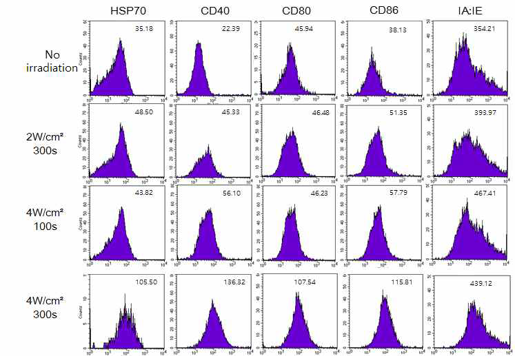 광열 처리에 의해 유도되는 DC의 면역원성 증가 100ug/ml의 Indocyanine green을 C57BL/6의 골수세포 유래의 수지상 세포 (DC)에 uptake 시켜서 광열 처리 이후에 표면의 CD40, CD80, IA/IE의 발현을 flow cytometry로 측정하였음. 1시간 이후 변화 결과