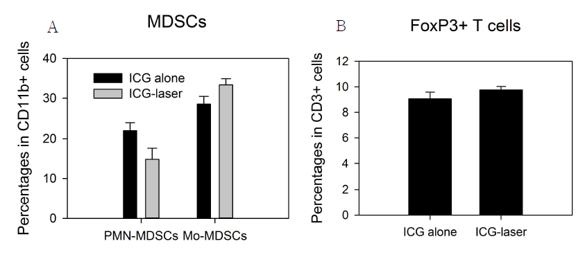 광열치료를 받은 immunocompetent mice에서 나타나는 암 면역환경의 변화 A. CD11b+Ly-6clow Ly-6Ghigh polymorphonuclear 및 CD11b+Ly-6chigh Ly-6Glow mononuclear MDSC의 비율 B. CD4+CD3+FoxP3+T