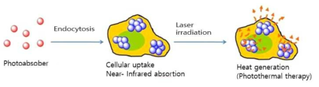 Photothermal therapy의 원리