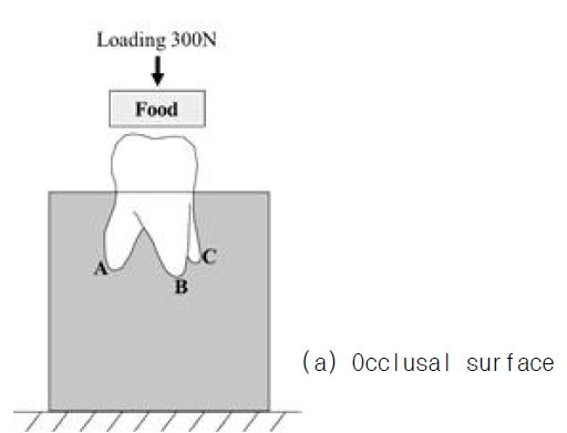 Test setup diagrams according to adjustment of food location