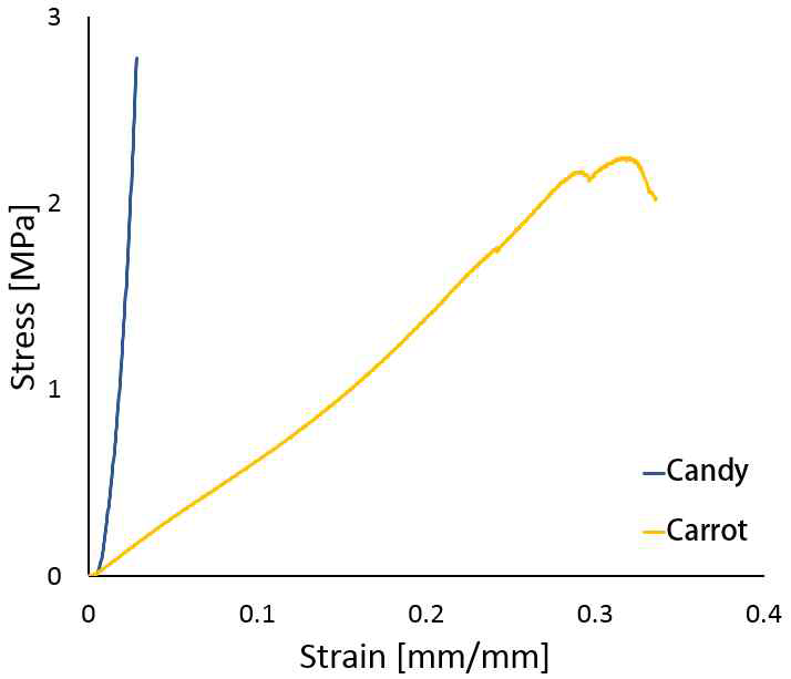 Stress-strain curves obtained from tests of food