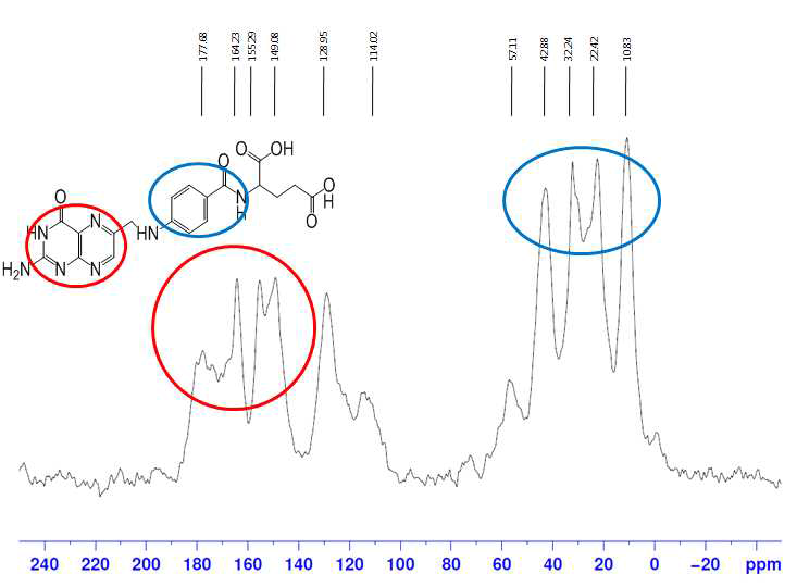 엽산이 도입된 실리카 나노로드의 고상 [13C]NMR 측정 결과