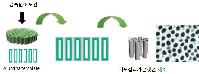 금속원소 (Zr) 도입 위한 실리카 나노플랫폼 제조