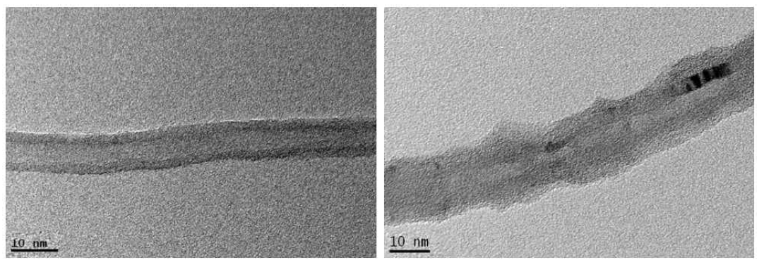 HRTEM images of MWNTs-g-CP01 composites
