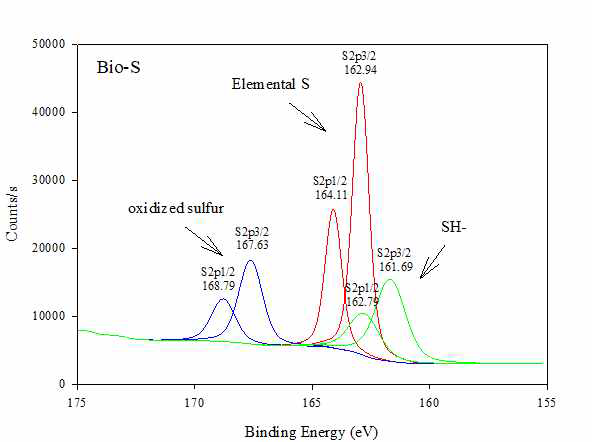 XPS로 분석한 Bio-S의 황 결합형태