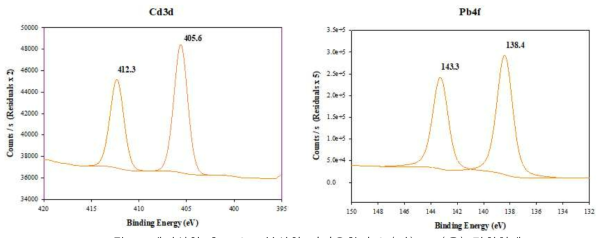 배치실험 후 XPS로 분석한 바이오황의 Cd(좌), Pb(우) 결합형태