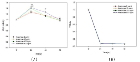 아라비노스 (ara)가 세포생존에 미치는 영향 Ara가 세포생존에 미치는 영향을 나타내는 대표적인 자료들을 제시하였음. (A): 아교세포주 (C6)는 포도당이 없고 (0 g/L) 정상산소 (21% O2)에서의 세포생존곡선. (B): 심근세포주 (H9c2)는 포도당이 없고 (0 g/L) 과산화수소 (100 μM)를 첨가한 조건에서의 세포생존곡선. **: P < 0.01; * P < 0.05