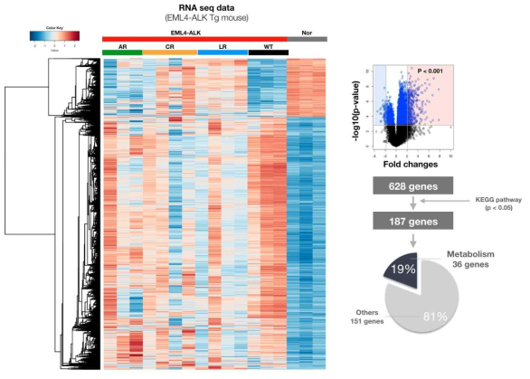 EML4-ALK 종양과 정상조직과의 RNA seq분석과 대사관련 기전 및 유전자 확인