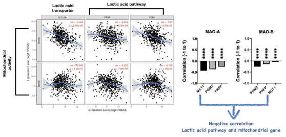 Mitochondria의 활성인자인 MAO-A/B의 역관계임을 통계적으로 확인: LUAD종양에서의 MAO-A/B의 발현은 lactate 관련 유전자와의 역관계가 성립하는 것을 확인하였음