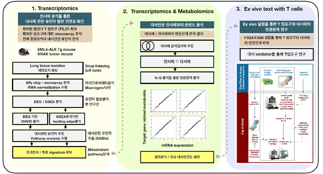 연구접근방법(전사체, 대사체 연구)