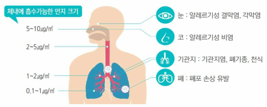 미세먼지로 발생할 수 있는 각종 질병