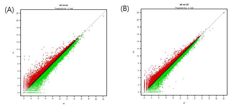 Scatter plots of mean normalized read counts for wild type versus OX and wild type versus LD