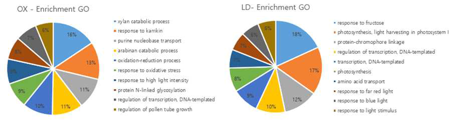 Enrichment GO term graph of OX and LD