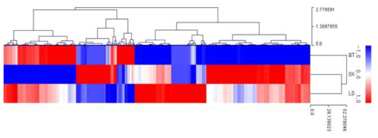 Heatmap analysis of RNA-seq data.