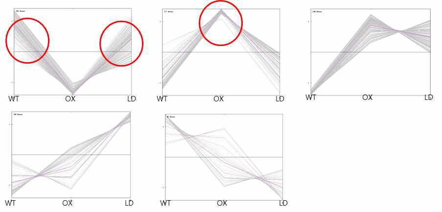 K-means clustering anlaysis of RNA-seq data