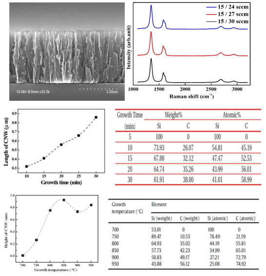 성장된 탄소나노월 및 특성 분석 결과