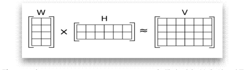 NMF (Non-negative Matrix Factorization) 행렬 인수 분해 알고리즘 Signature가 어떤 substitution 분포를 보이는지 나타내는 matrix W, sample들의 각 Signature에 대한 probability를 나타내는 matrix H. 이 두 개의 matrix를 수렴할때까지 반복하여 두 개의 matrix를 저장함. 원본 행렬 input matrix가 V임. ▶ Kataegis (hyper-mutated zones) 패턴은 한 쌍의 신체적 단일 염기 치환에서 intermutational distance (IMD)까지 염기 쌍의 거리를 취하여 평가되었음