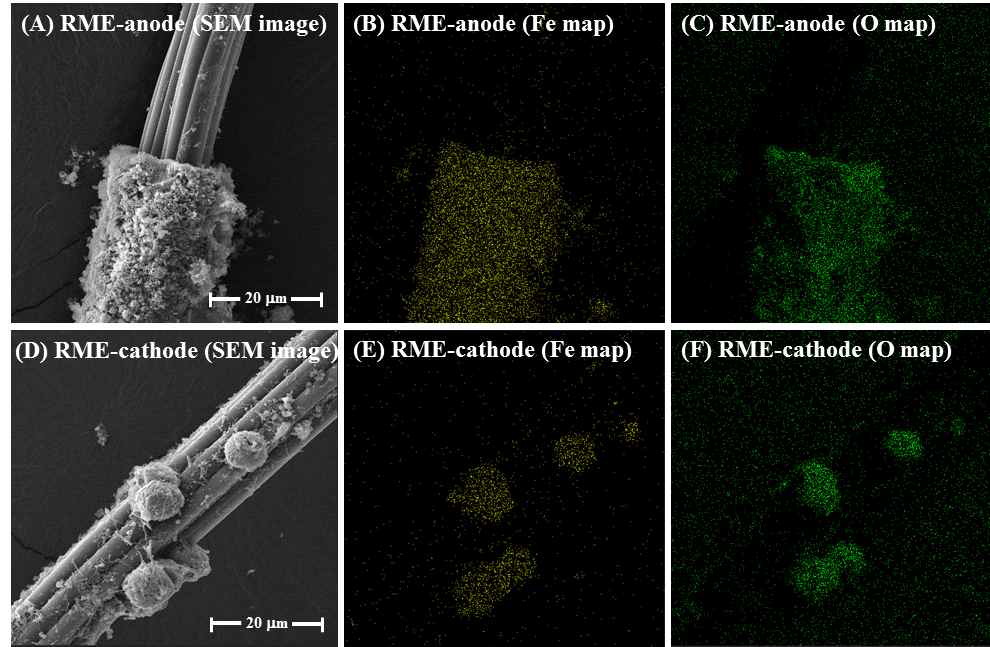 RME의 산화전극 및 환원전극의 EDS mapping 결과