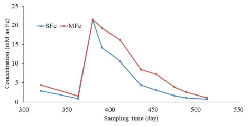 SFe와 MFe 내부의 마그네타이트 농도 변화