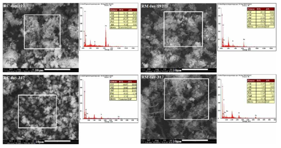 반응기 유출수 샘플로부터 얻은 SEM 사진과 EDX 분석 결과
