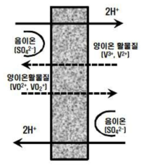 용 이온교환막 개념도