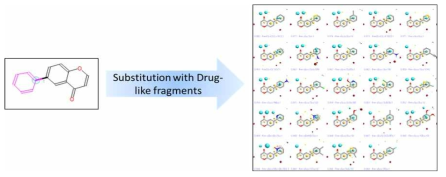 Flavonoid의 기본 골격에서 aryl group을 drug-like fragment로 치환