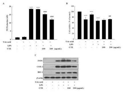 요산 및 LPS로 유도된 염증 억제 효과