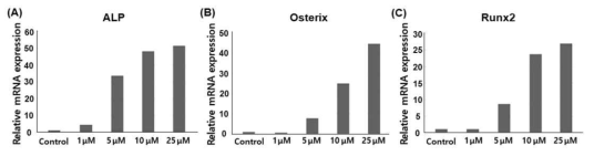 Compound A의 처리 농도에 따른 골분화 관련 주요 유전인자의 발현에 미치는 영향 (A) ALP, (B) Osterix, (C) Runx2
