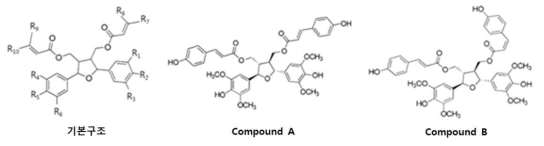 신규화합물인 compound A와 B의 분자구조