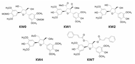 신규화합물 유도체 5종 (KW 0, 1, 2, 4, 7)의 분자 구조