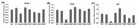 Compound A와 유도체 5종 처리에 따른 지방분화 관련 주요 유전인자의 발현에 미치는 영향 (A) PPARγ, (B) CD36, (C) aP2