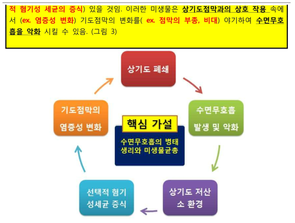 중심 연구 가설 (Microbiome과 폐쇄성수면무호흡의 병태생리)