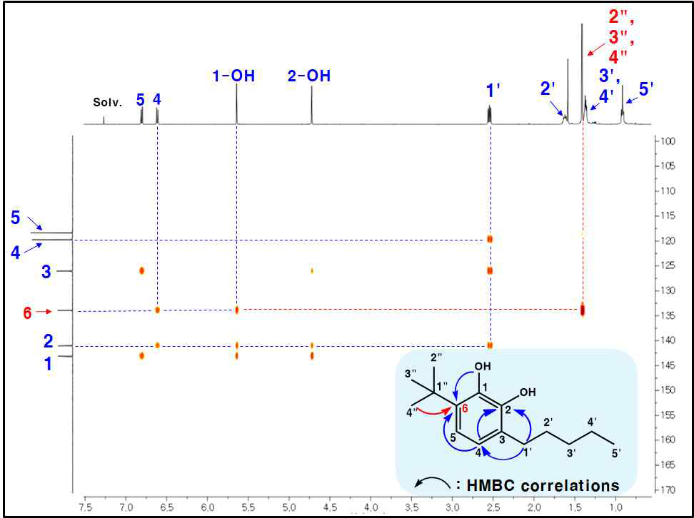 TBPC의 HMBC 분석 결과
