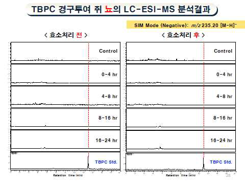 TBPC 경구투여 쥐 뇨의 LC-ESI-MS 분석결과