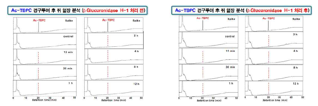 Ac-TBPC의 경구투여 후 쥐 혈장 분석(β-glucuronidase H-1 처리 전ㆍ후)