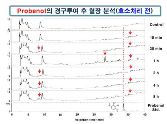 Probenol의 경구투여 후 혈장 분석 (효소처리 전)