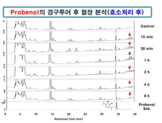 Probenol의 경구투여 후 혈장 분석 (효소처리 후)