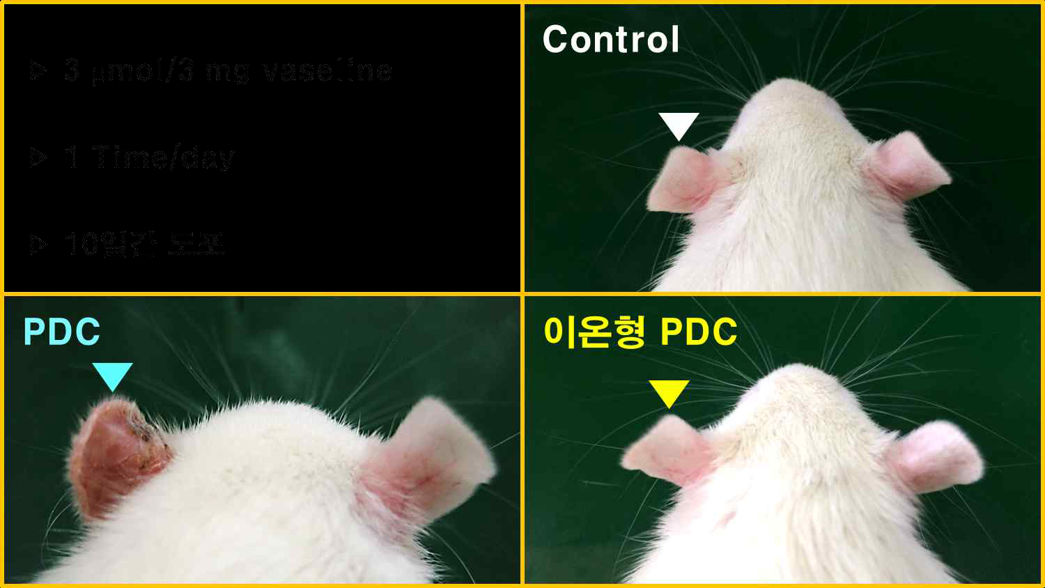 Allergy 유발성 유무 확인 결과