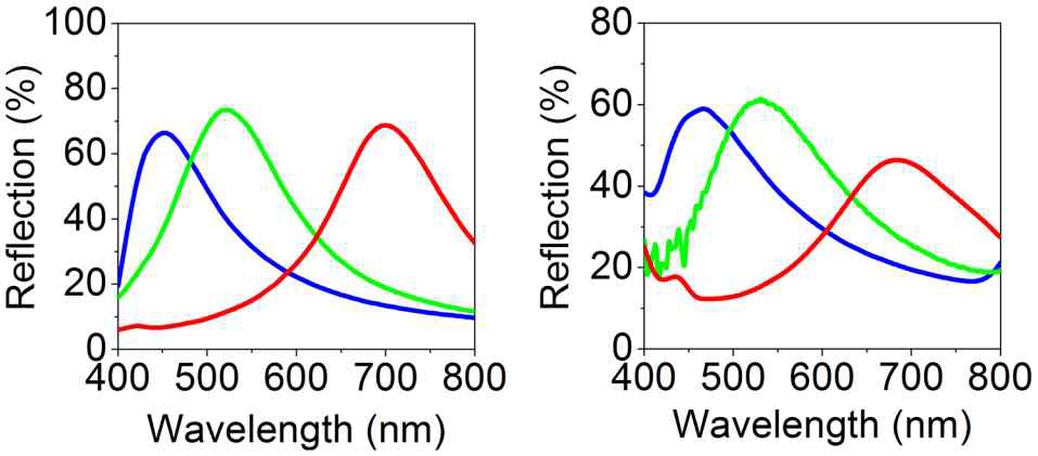 RGB 반사색 컬러필터 스펙트럼: (좌) 이론 계산, (우) 실험