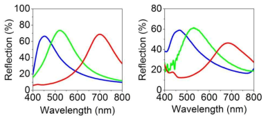 RGB 반사색 컬러필터 스펙트럼: (좌) 이론 계산, (우) 실험