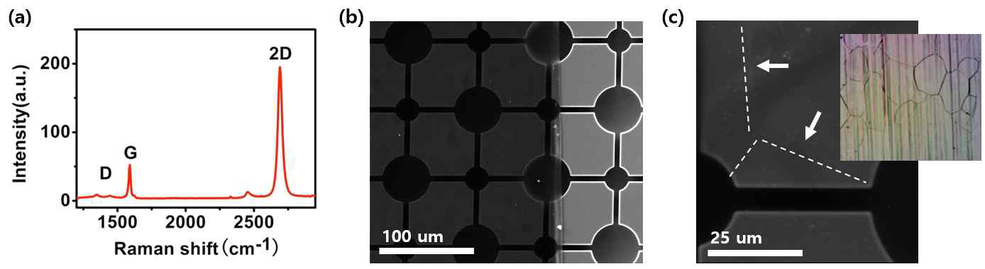 (a) CVD graphene Raman spectum, (b) bridge 구조를 갖는 실리콘 기판에 전사한 graphene film (with PMMA)의 전자주사현미경 이미지, (c) grphane film 내 grain boundary 확인