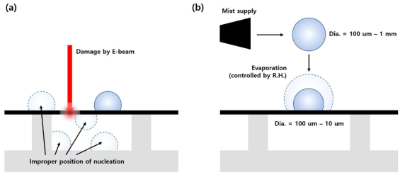 관찰 방법에 따른 응축현상 모사 방법; (a) 환경전자주사현미경, (b) 가시광현미경