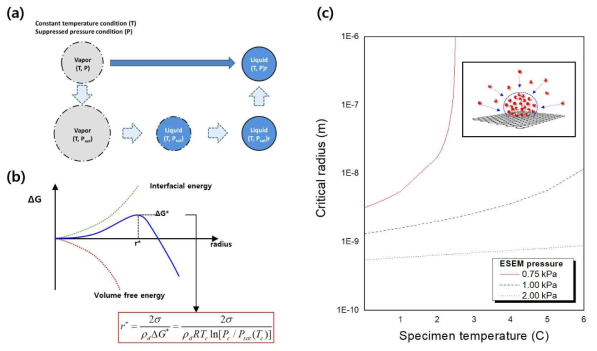 (a) 응축현상의 열역학적 해석을 위한 가상의 process에 대한 모식도 (b) 액적의 크기에 따른 에너지 준위 변화와 critical radius, (c) 환경주사현미경 환경에서 응축 액적의 critical radius 변화에 대한 그래프