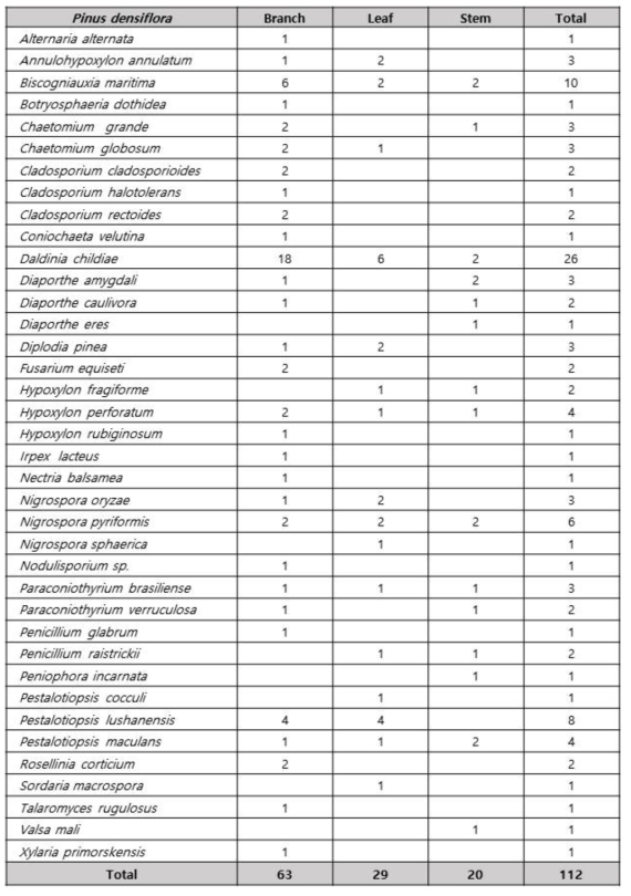 소나무 부위별 분리동정된 내생균류 목록