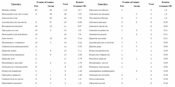 Species of endophytic fungi and number of isolates isolated from P. densiflora and Quercus species in different seasons