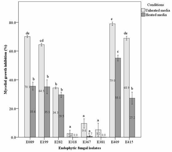 Mycelial growth inhibition (%) of endophytic fungal isolates against oak wilt fungus in culture filtrate test. Different letters indicate a significant difference (p < 0.05) among treatments